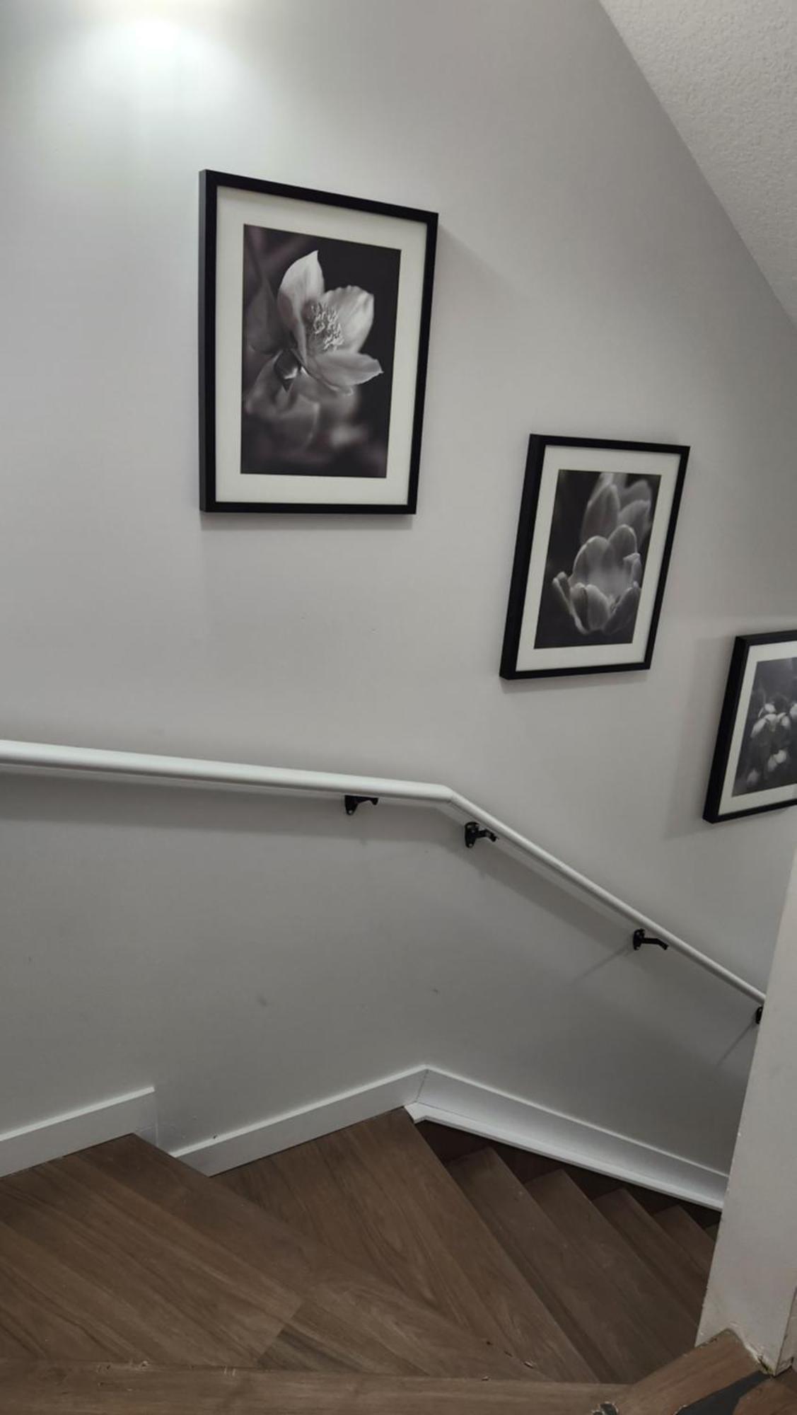 Modern 2 Bedroom Basement Suite At West Edmonton Bagian luar foto